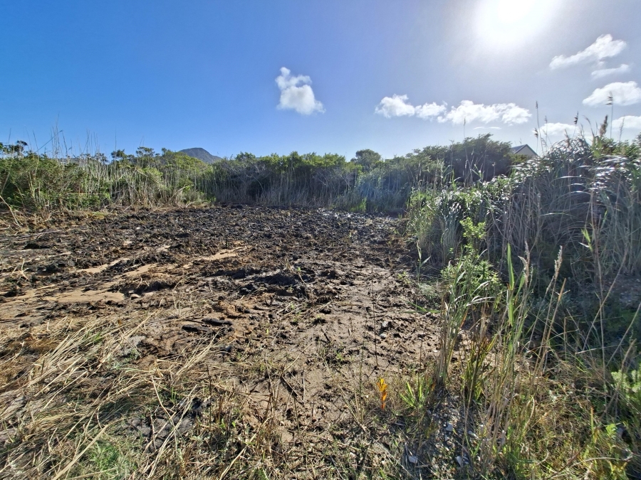 0 Bedroom Property for Sale in Pringle Bay Western Cape